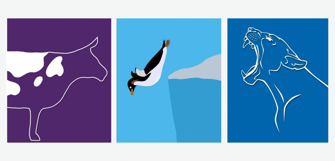 Beyond Classroom Series