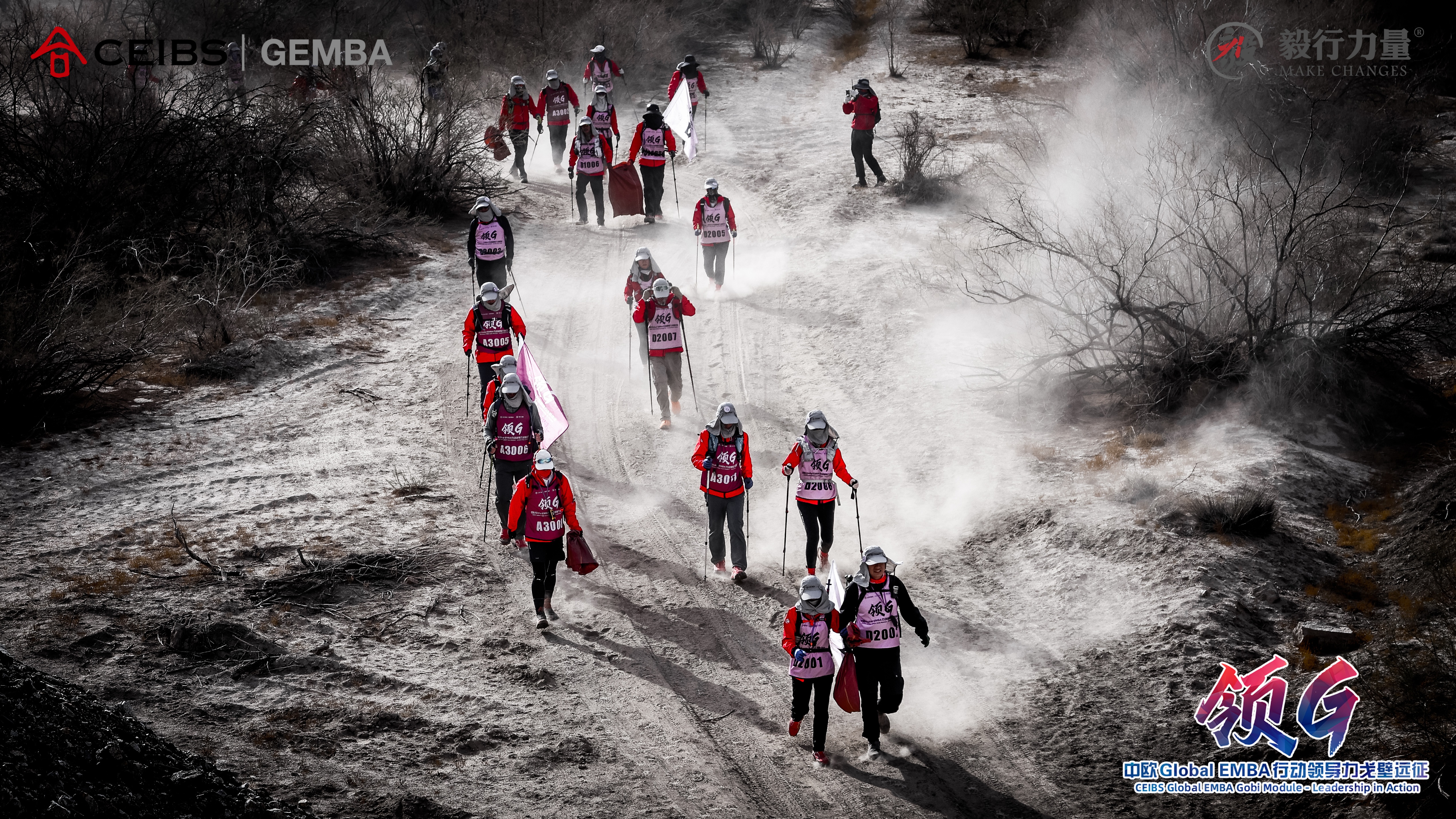 Leadership in Action